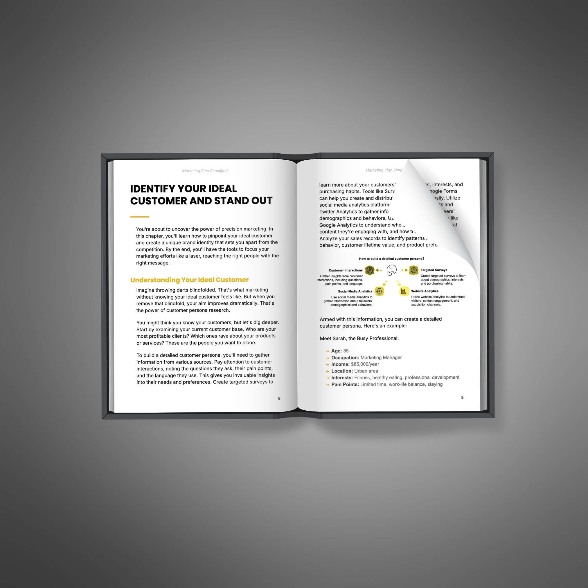 Marketing Plan Simplified - Bundle